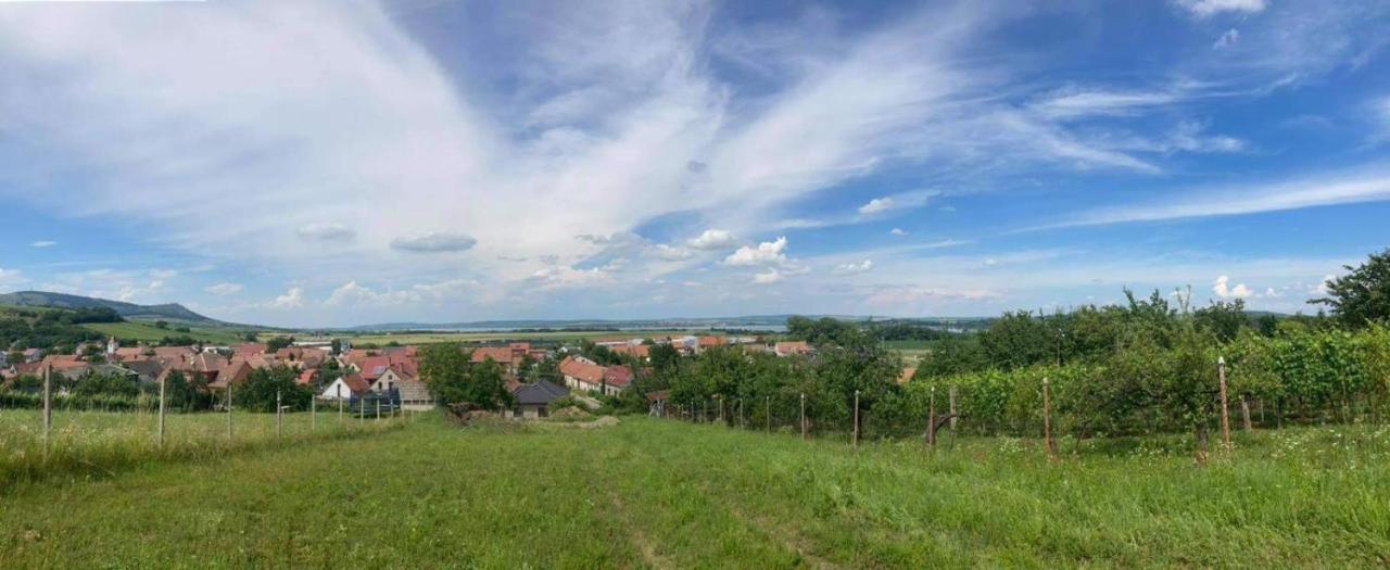 Prazdninovy Dum Na Palave S Vinnym Sklepem Milovice  Екстериор снимка
